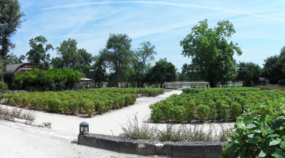 Berges de GARONNE