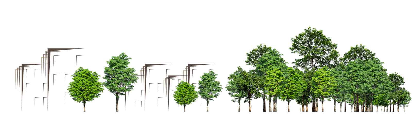 Paysage urbain et végétal — Atelier Tournier